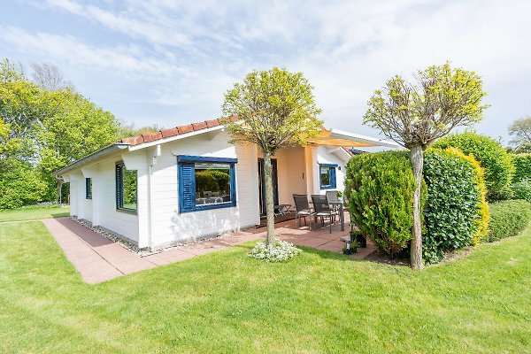Ferienhaus Renesse