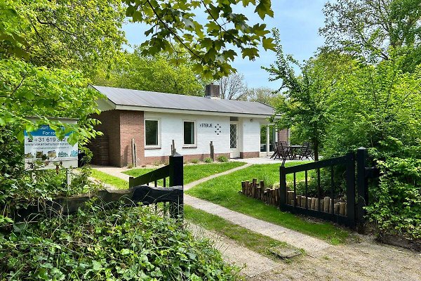 Ferienhaus Renesse