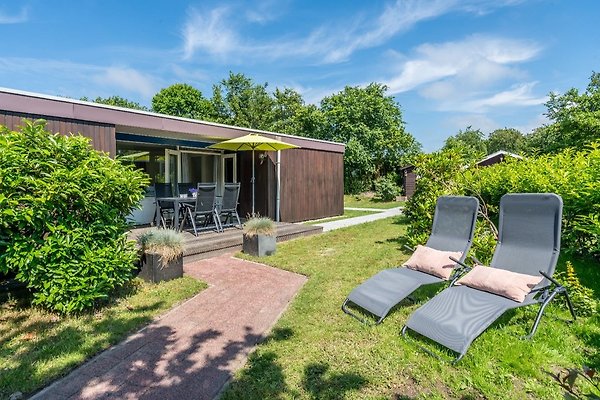 Ferienhaus Renesse