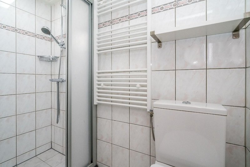 Badkamer met douche en toilet