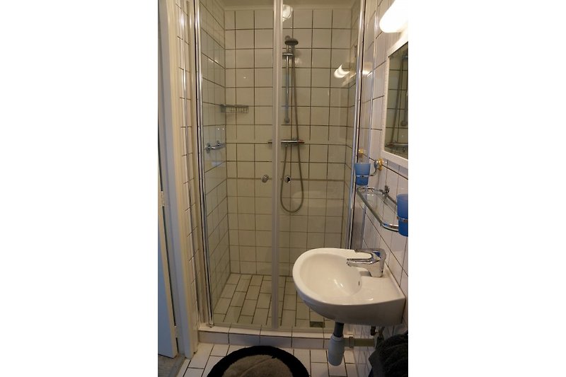 Badezimmer mit Dusche, Waschbecken und Toilette