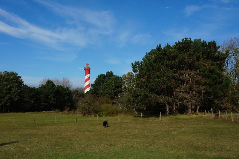 Der Leuchtturm von Burgh-Haamstede