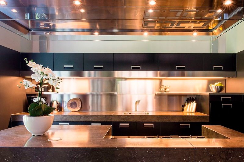 The ultra-modern kitchen.