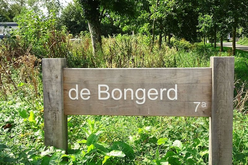 Park De Bongerd