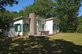 Berkenpad 7