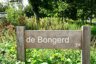 Bongerd 11