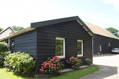 de Specht
