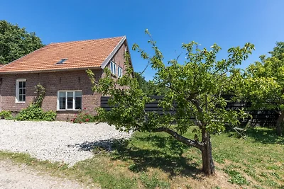 Aan het Vroon