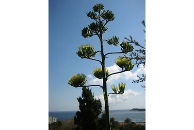 Vacanze Casetta-Barcaggio