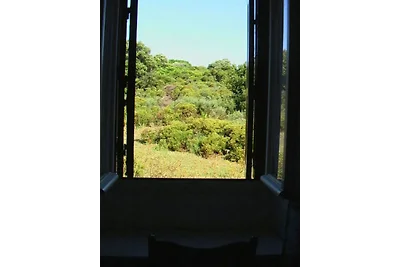 Vacanze Casetta-Barcaggio