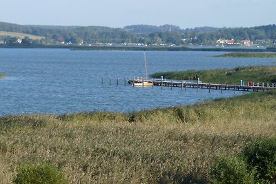 Reethaus am Balmer See/Achterwasser