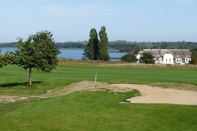 Riethuis aan het Balmmeer / backwater