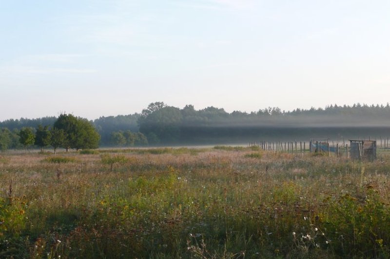 Blick aus dem Garten auf Feld und Wald