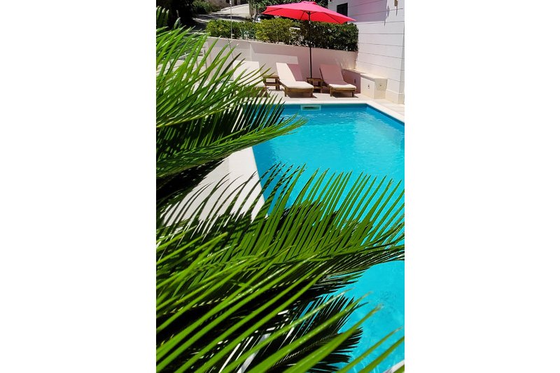 Schwimmbecken mit Palmen und Außenmöbeln in einem Resort.