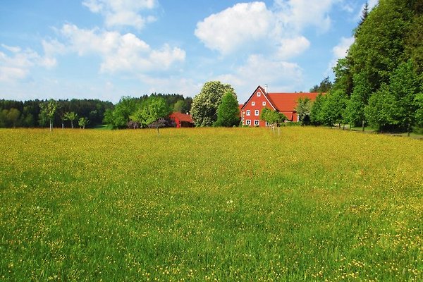 Schmolzererhof in Sulzbach-Rosenberg - Frau S. Lehmann