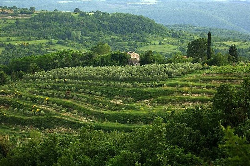 Istrische Landschaft