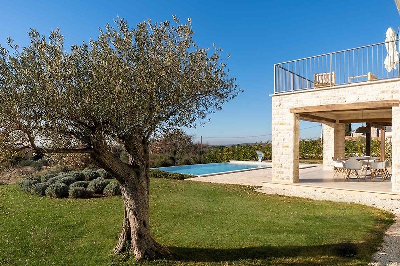 Garten mit Pool und Olivenbaum 