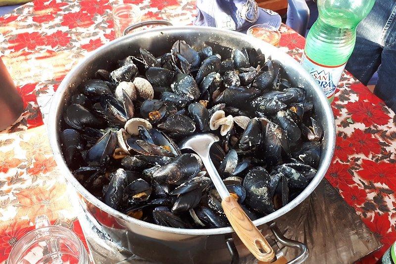 Muscheln