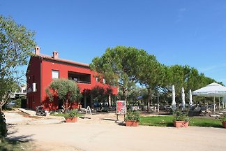 Terra