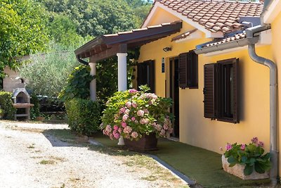 Istria home Pelizzar
