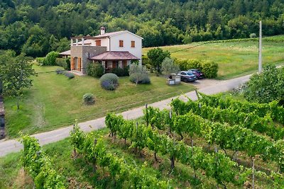 Istria home Villa Lef