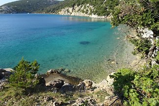 Appartements Angela RAB