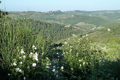 Campolungo, "Il Lungo" 4 Pers.