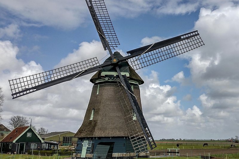 Typisch holländische Windmühle im Polder von Zijpe