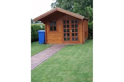 Deichmuschel II  Norden Norddeich