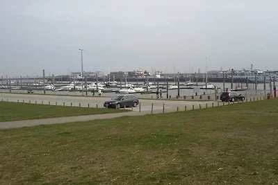 Deichmuschel II  Norden Norddeich