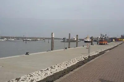 Deichmuschel II  Norden Norddeich