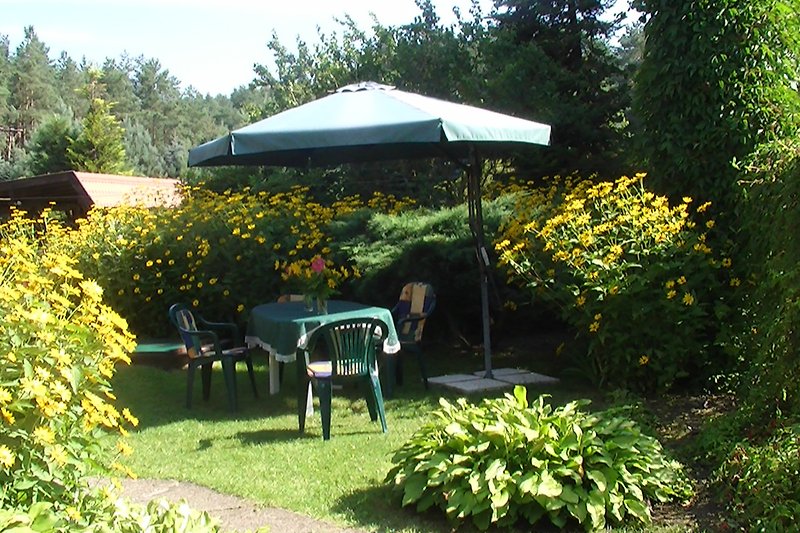Ein sonniger Garten mit Pflanzen, Möbeln und einem gelben Sonnenschirm.