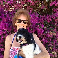 Frau S. Losinger Frau S. Losinger