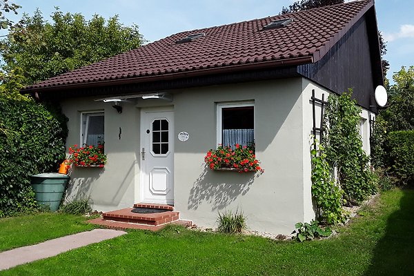 Ferienhaus Hohen Wangelin
