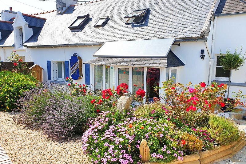 Private holiday home Brittany with dog