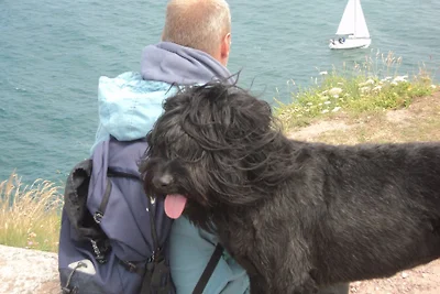Maison Dodo Bretagne -Hunde erlaubt
