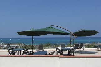 Tropeamare