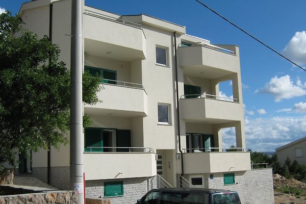 <span style="font-size:smaller;">Firma Villa Luce</span><br> Frau Renic <span style="font-size:smaller;">Firma Villa Luce</span><br> Frau Renic