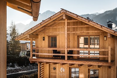 chalets Liondes