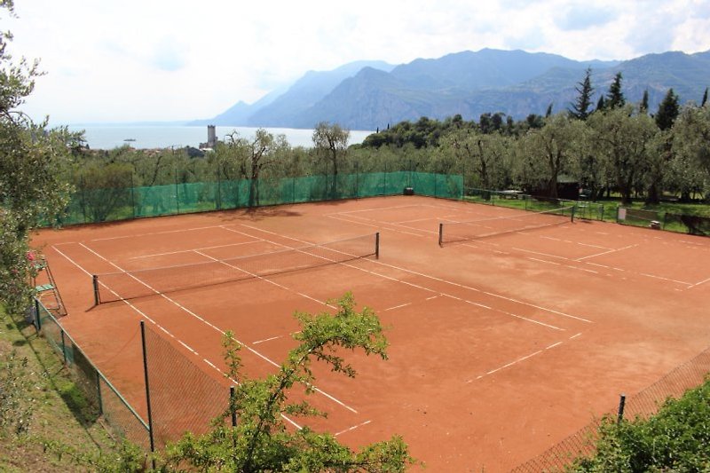 Tennis field