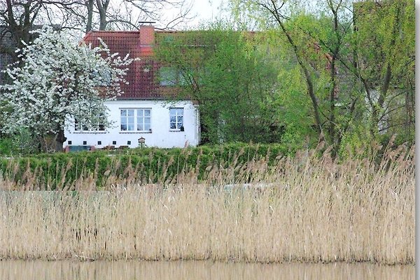 Ferienhaus Oberuckersee