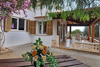 Casa des troncs