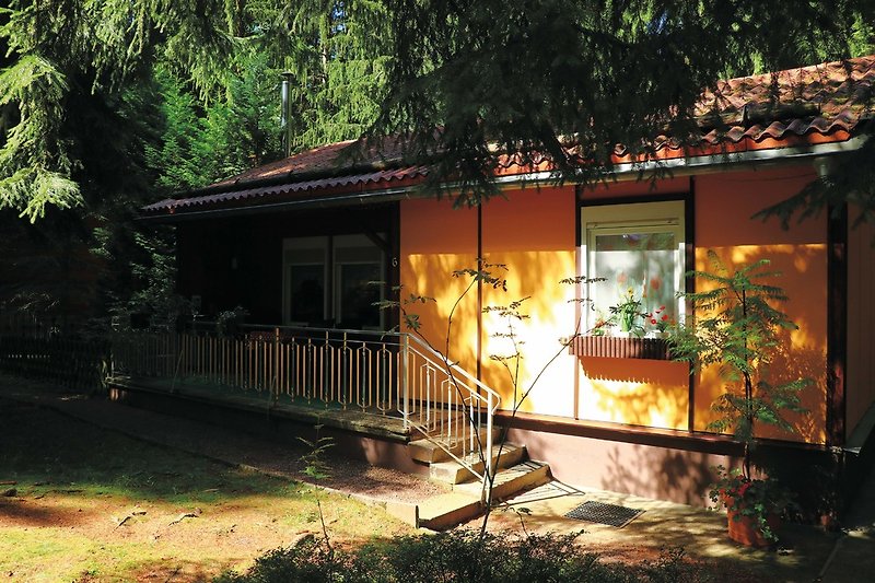 Haus 6
