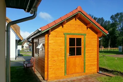 Casa vacanze sul Mar Baltico Anemone