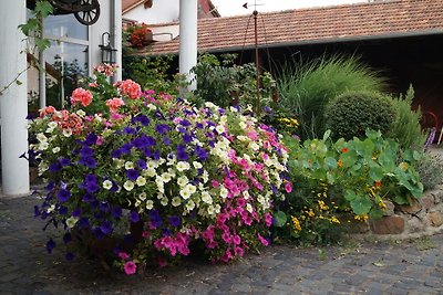  Gästehaus Im Linsenbusch