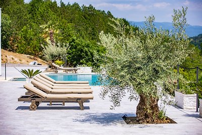 Beautiful Villa Bella Draguc