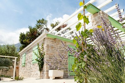 Beautiful Villa Estate de Nature