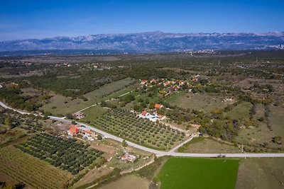 Villa Oliveto Smilčić