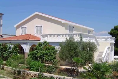 Apartments Paman
