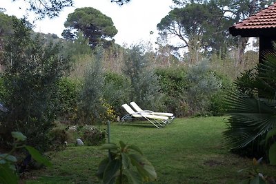 Villa Kismet